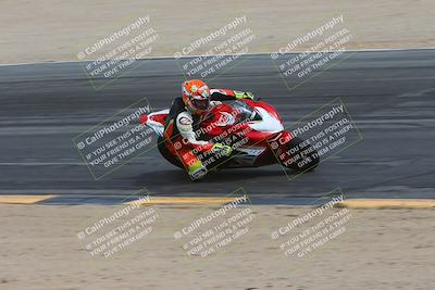 media/Mar-02-2025-Race Pace (Sun) [[8bec80ae00]]/14-Verified (Turn 10 Inside)/